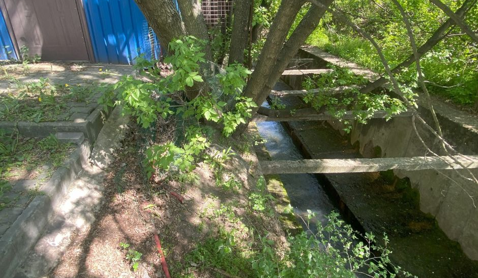 Незаконну автомийку на березі Либеді у Києві знесуть — прокуратура