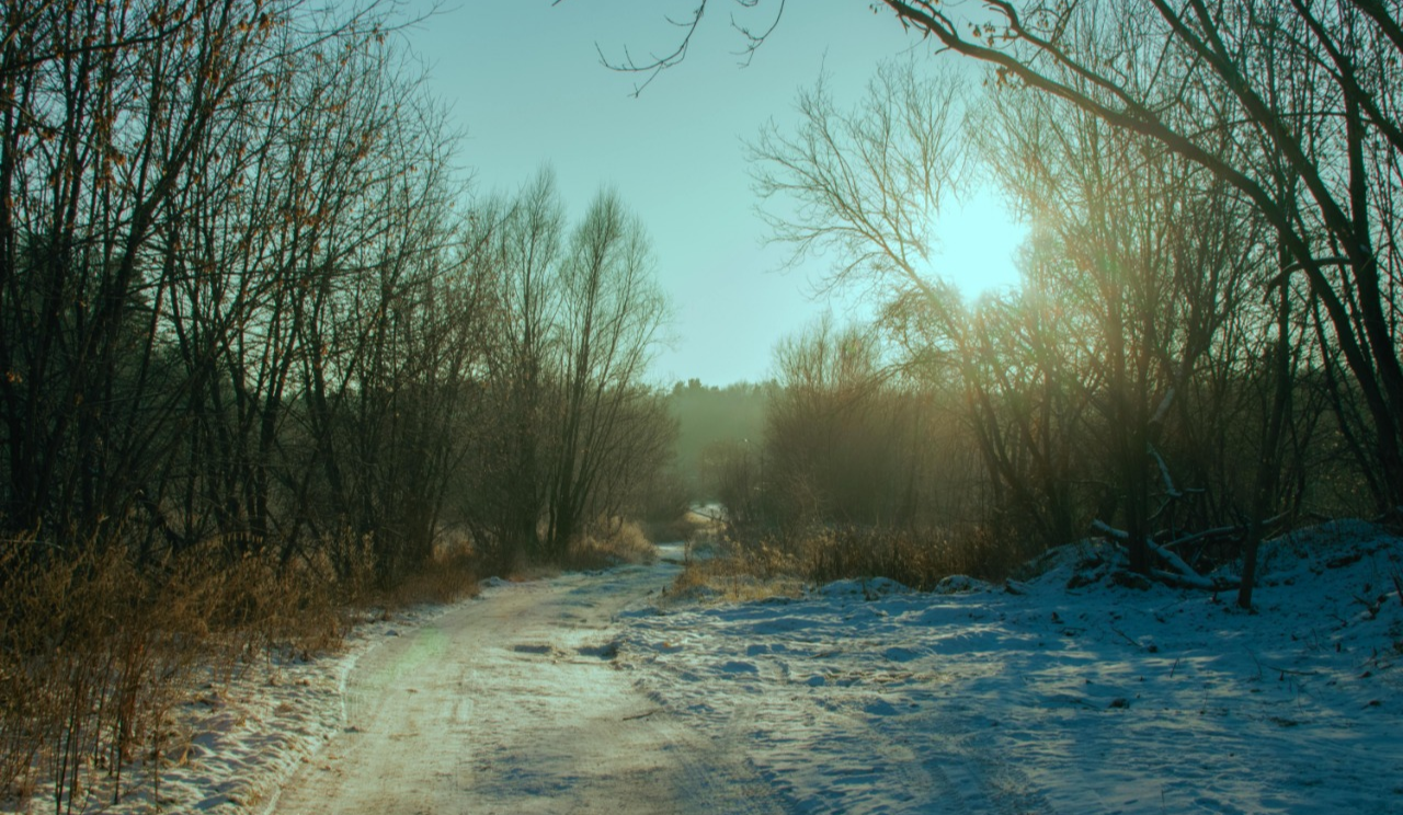 Без опадів, тепло до +8: якою буде погода у Києві на вихідних