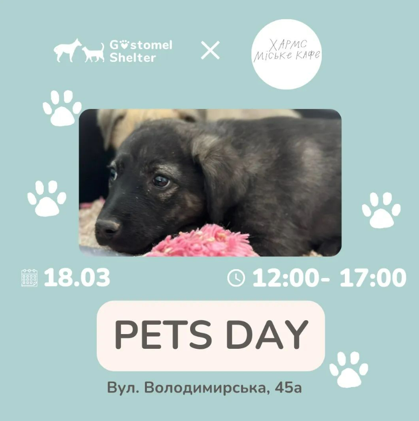 PETS DAY у кафе Хармс, 18 березня 2023 року, Київ