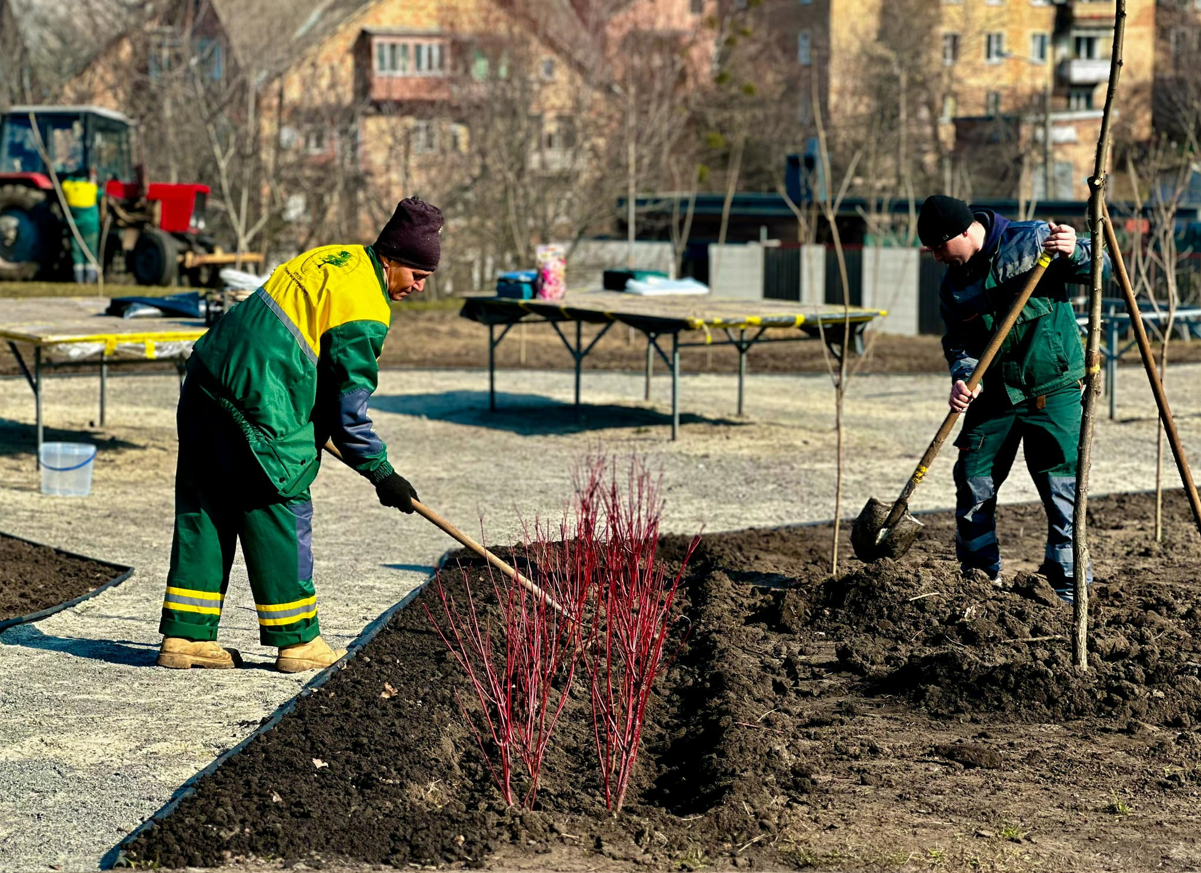 У Солом'янському ландшафтному парку посадили 70 дерев та кущів: фото