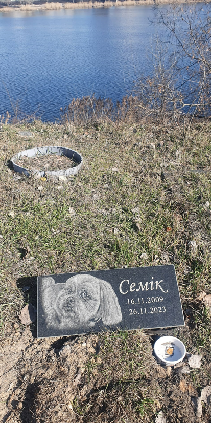 Мешканців Оболоні просять прибрати надгробки з кладовища домашніх тварин: причина