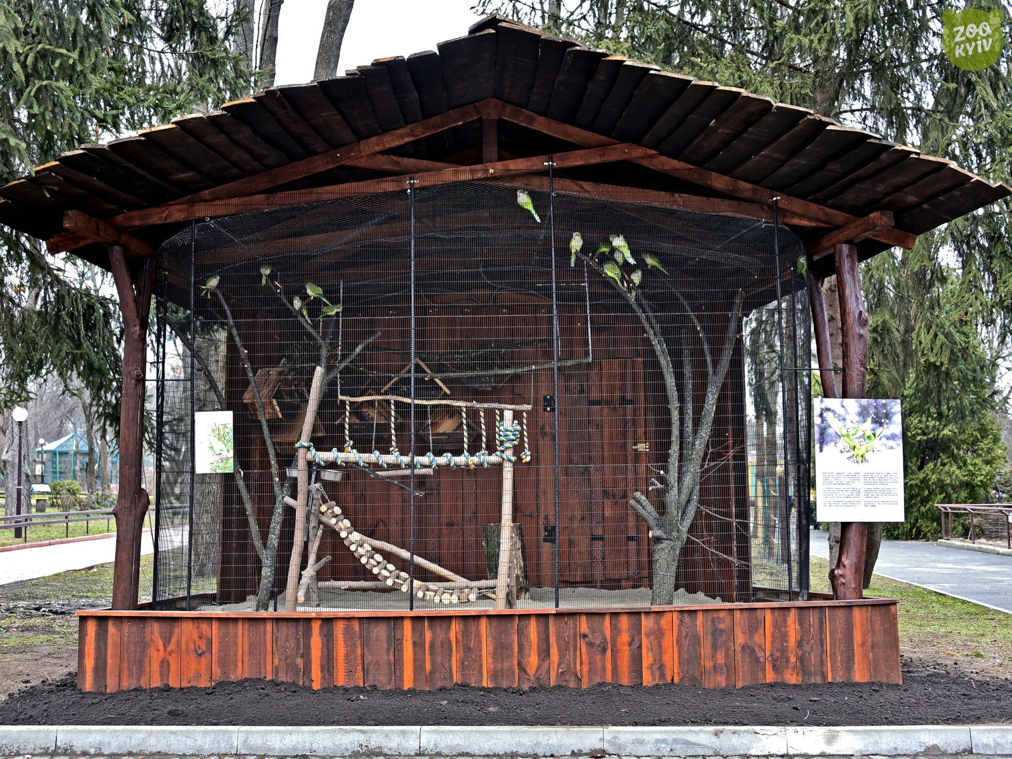 Із приходом перших теплих днів папуги-монахи з Київського зоопарку переселилися до літніх будиночків