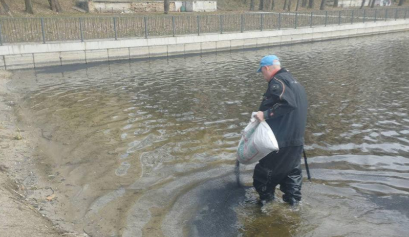 У Києві в озеро Богатирське скинули нафтопродукти: що відомо