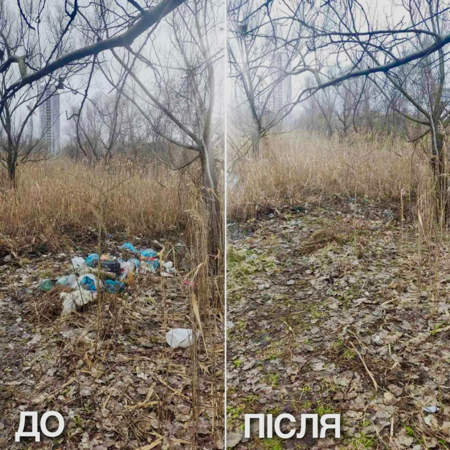 У Києві провели толоку на озері Жандарка: фото до і після прибирання