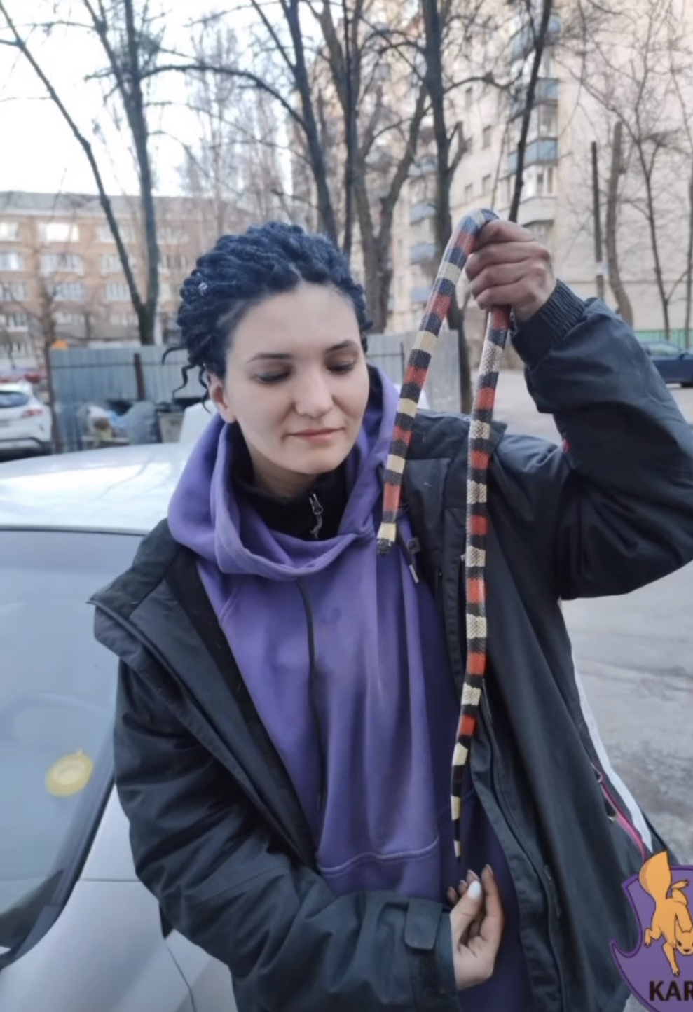 Киянка виявила змію під капотом свого автомобіля