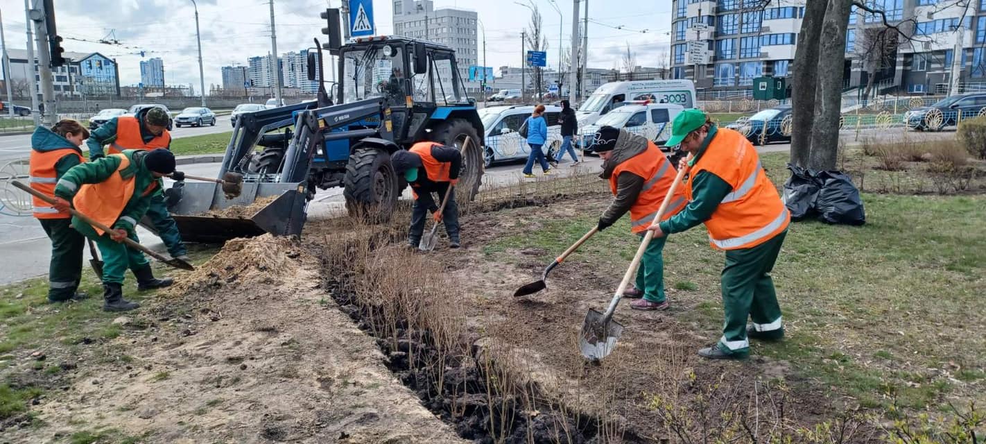 У Дніпровському районі Києва висадили нові дерева та кущі