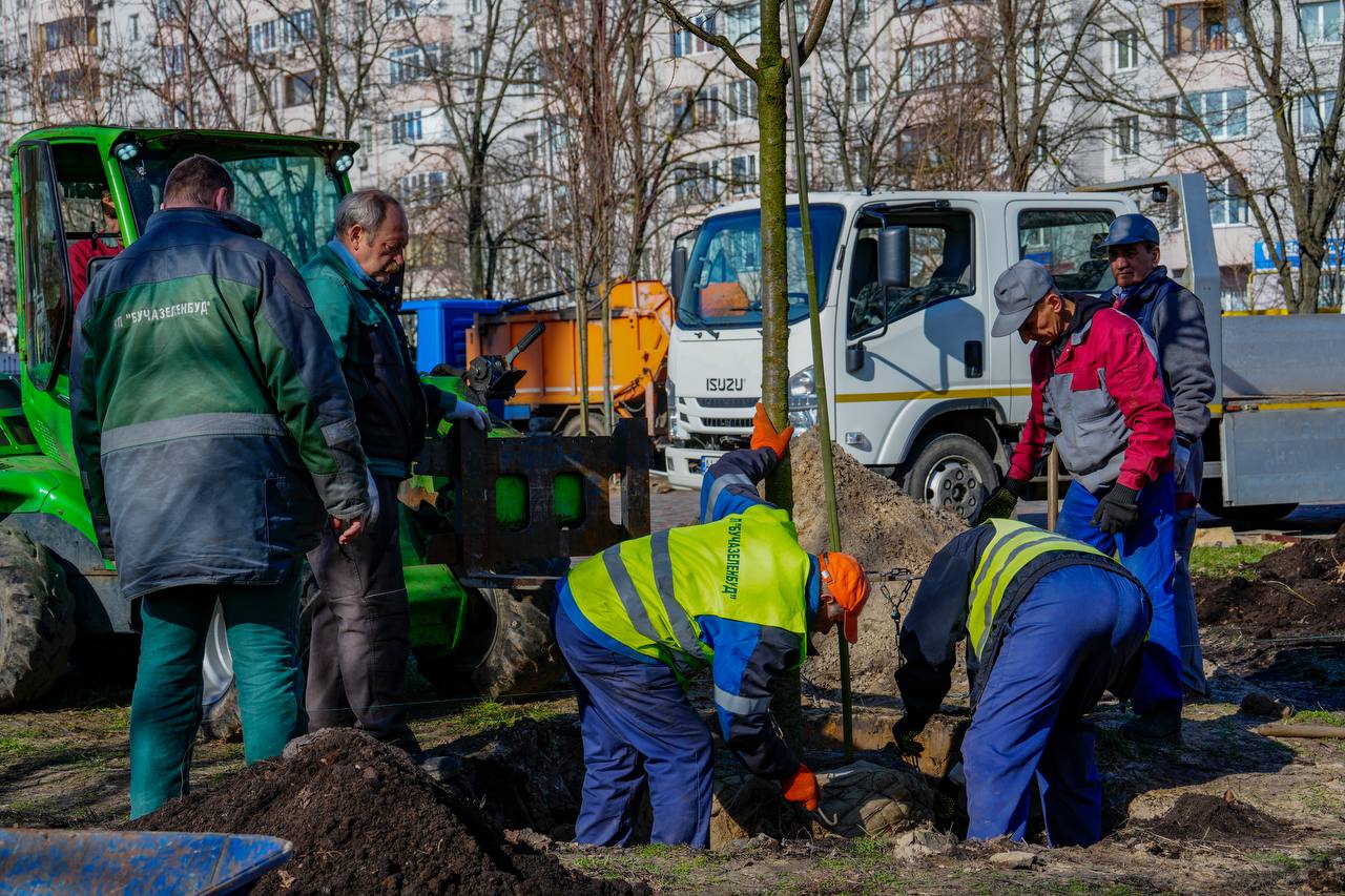 Біля церкви Святого Апостола Андрія Первозванного у Бучі висадили клени та сакури: фото