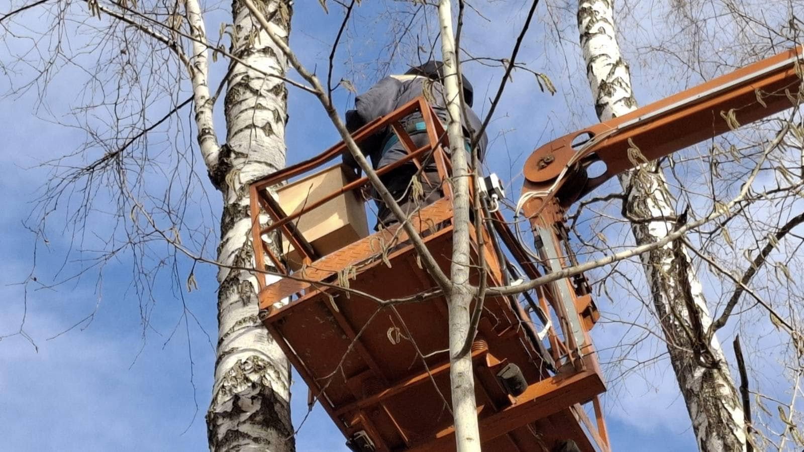 У парках і скверах Києва з’явилися годівниці для білок: деталі