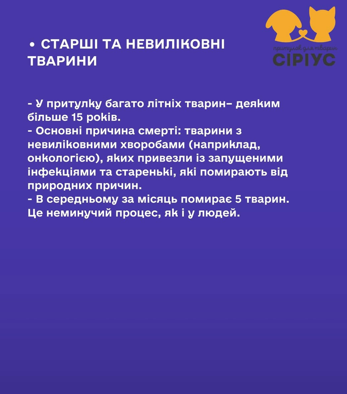 Неналежне утримання тварин: в притулку Сіріус відповіли на звинувачення