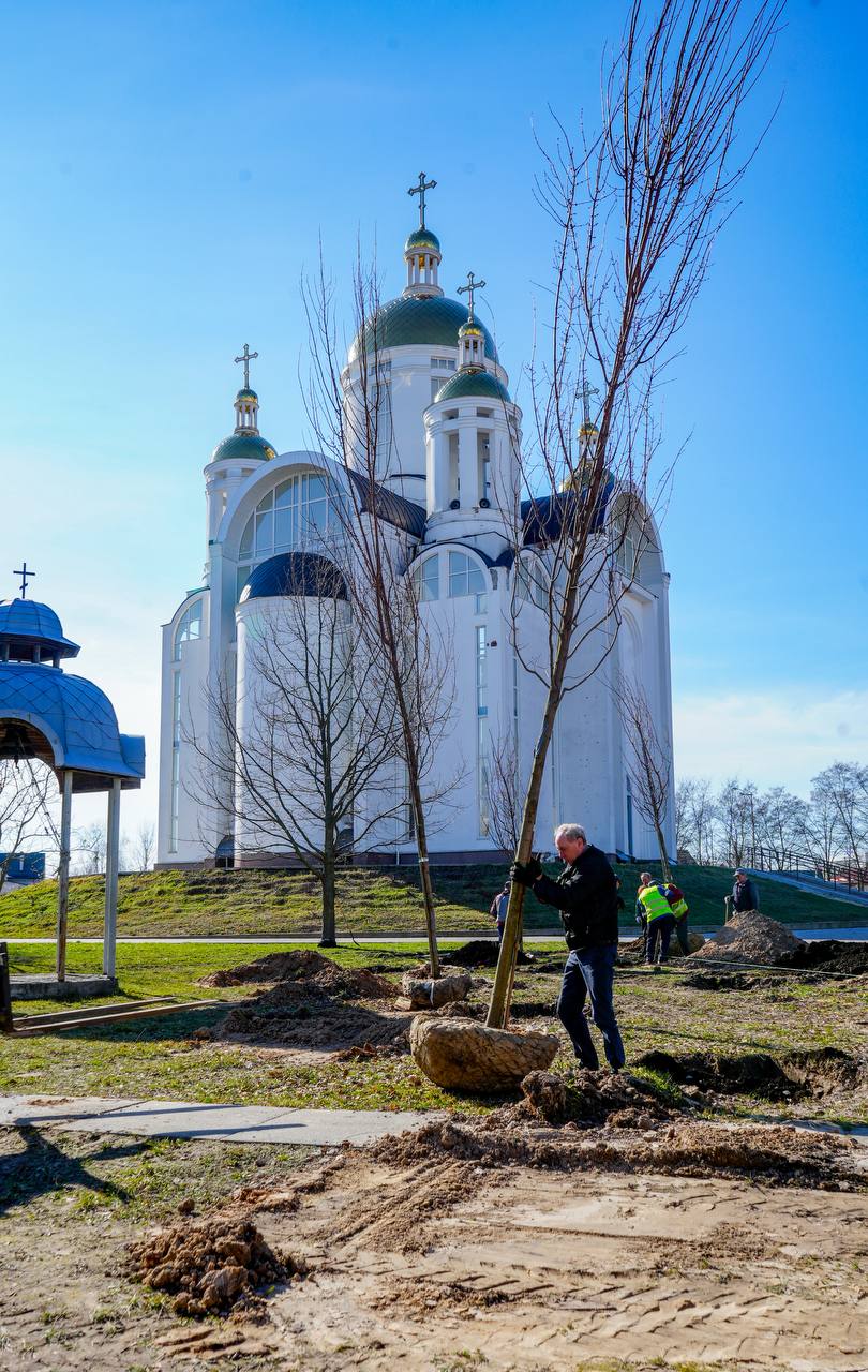 Біля церкви Святого Апостола Андрія Первозванного у Бучі висадили клени та сакури: фото