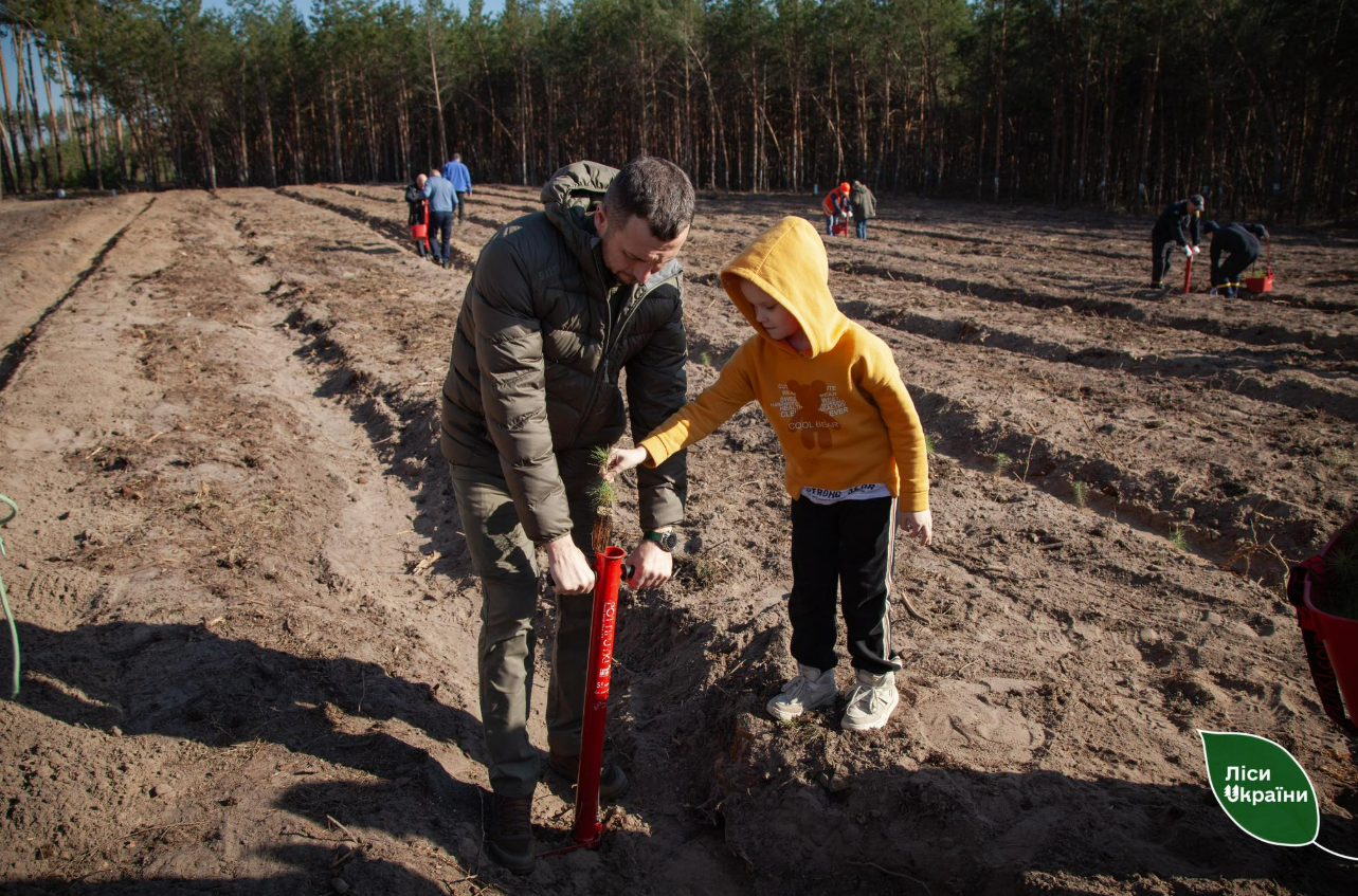 На Київщині відновили ліс після масштабного буревію: фото