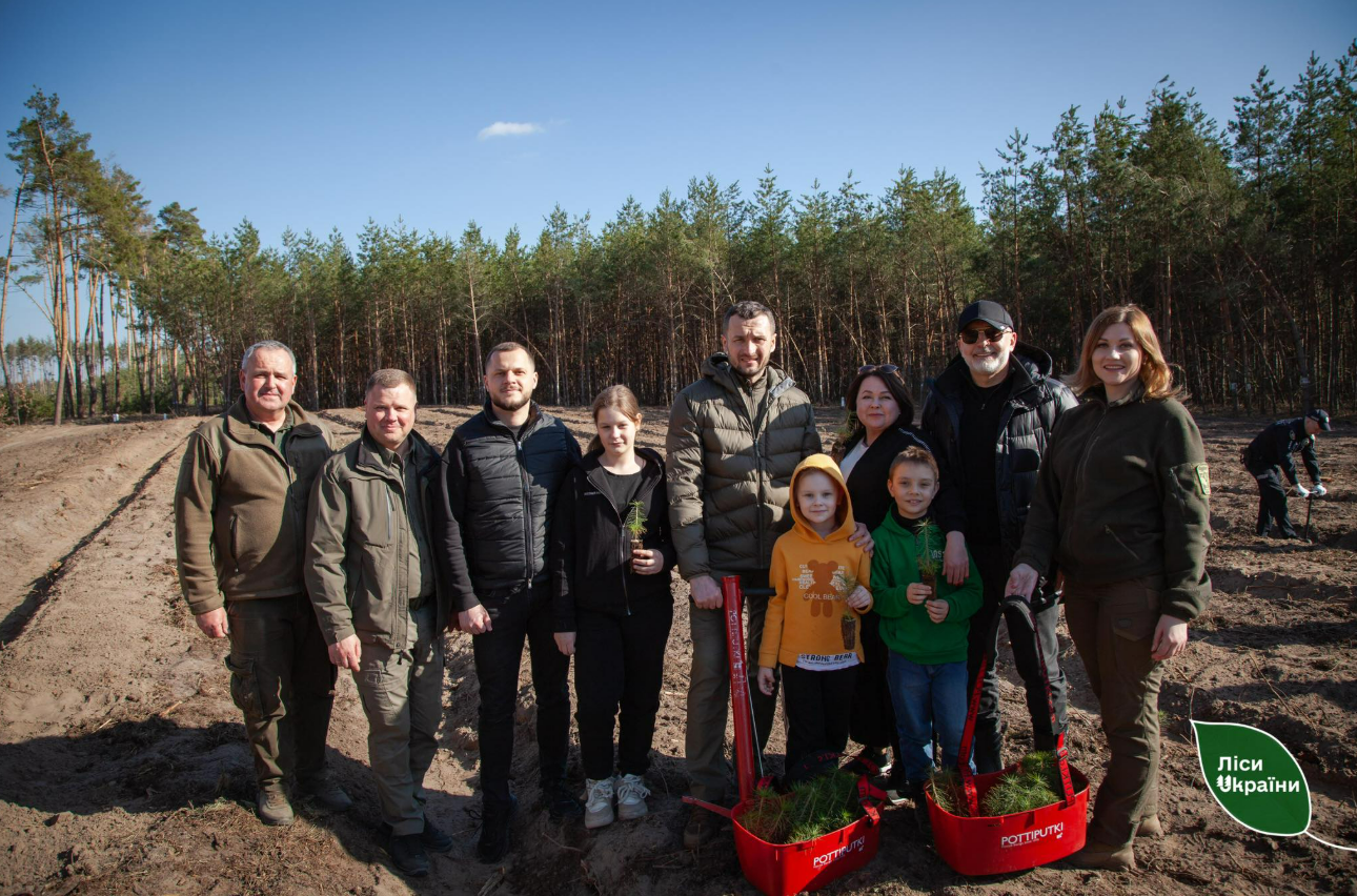 На Київщині відновили ліс після масштабного буревію: фото