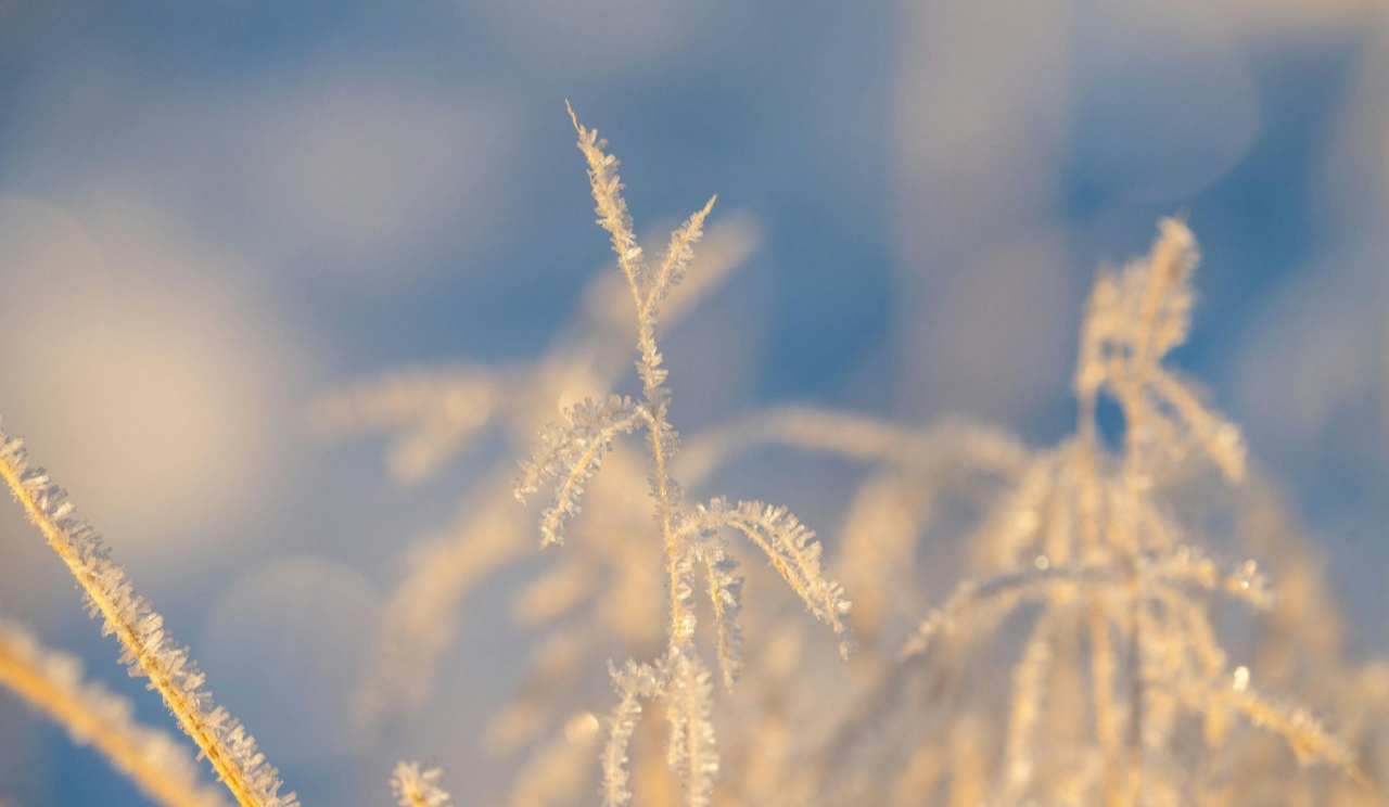 У лютому температура повітря у Києві була нижчою за кліматичну норму: деталі