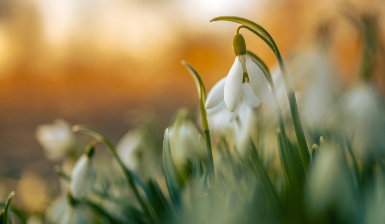 Столичні екоінспектори посилюють природоохоронні заходи: що відомо