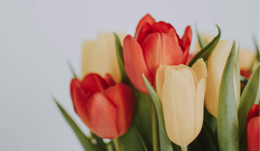 Найкращі привітання з 8 березня: у прозі, віршах та святкових листівках