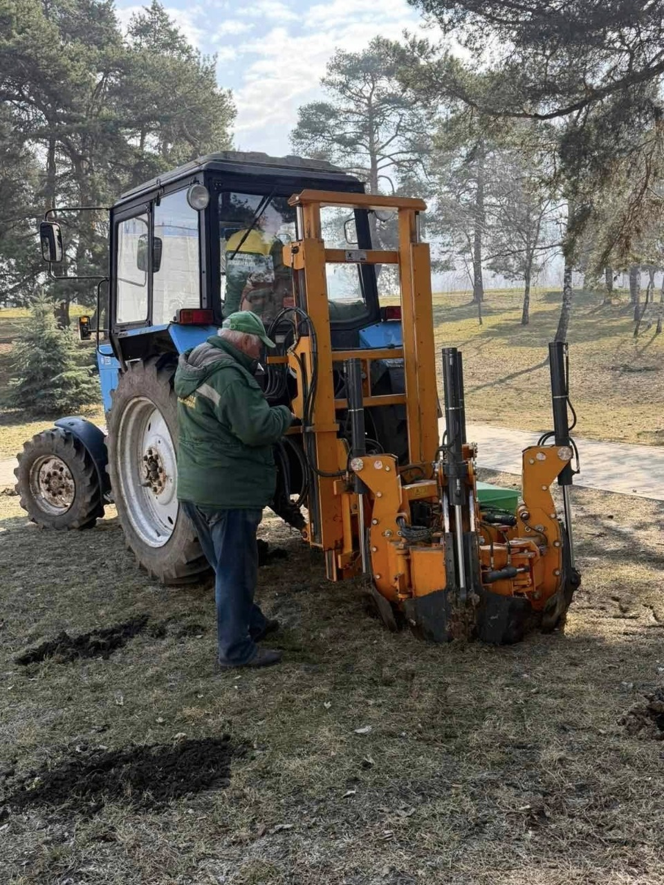 У зелених зонах на лівому березі Києва висадили нові дерева: фото