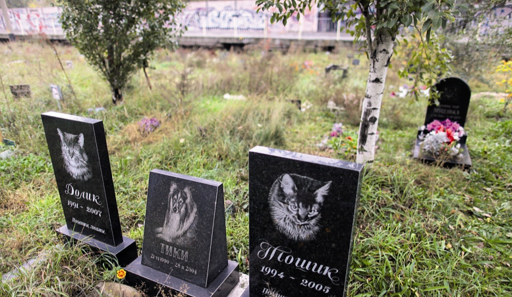 У Києві просять ліквідувати Русанівське кладовище тварин 