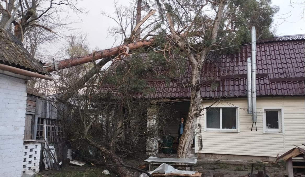 На Київщині вітер повалив дерева та пошкодив покрівлі будинків: фото