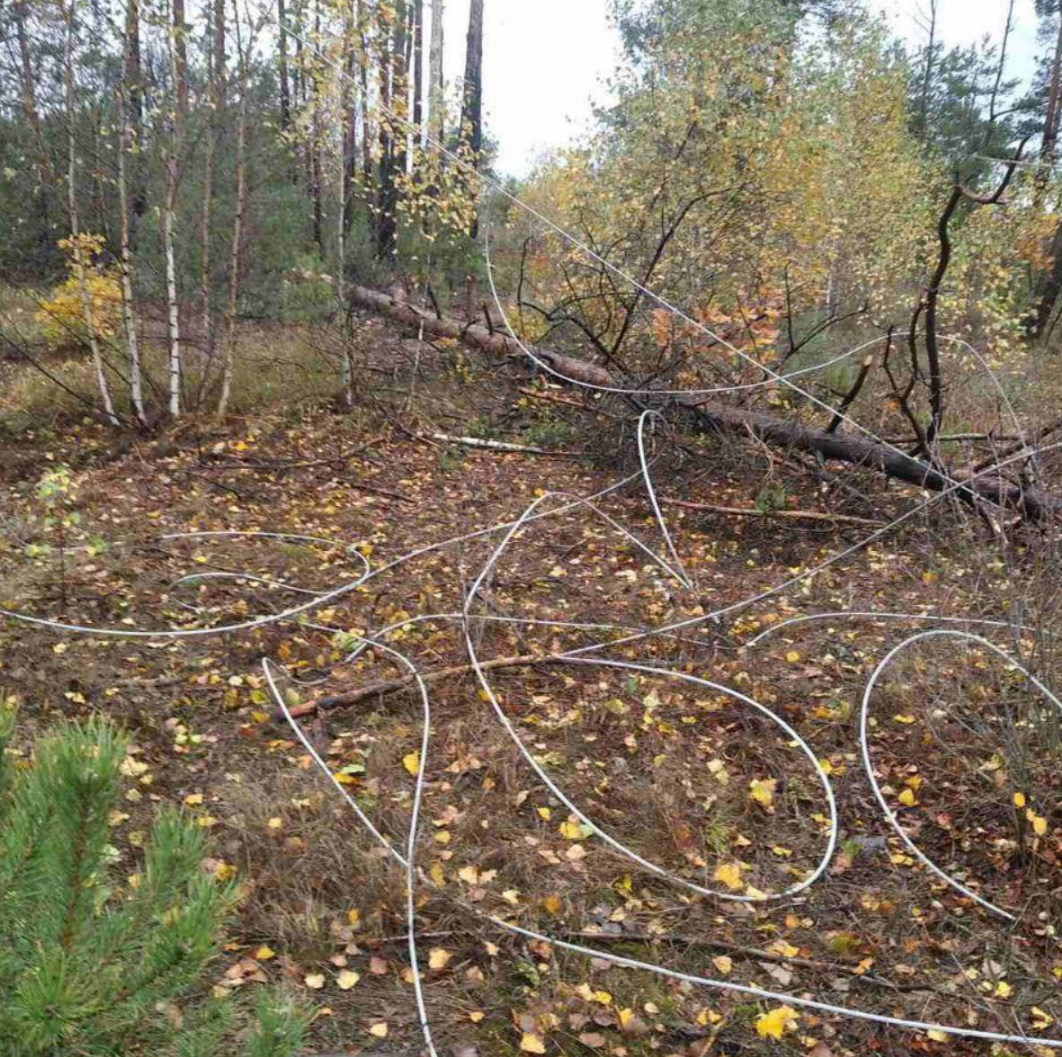 На Київщині 2 квітня вітер повалив дерева та пошкодив покрівлі будинків
