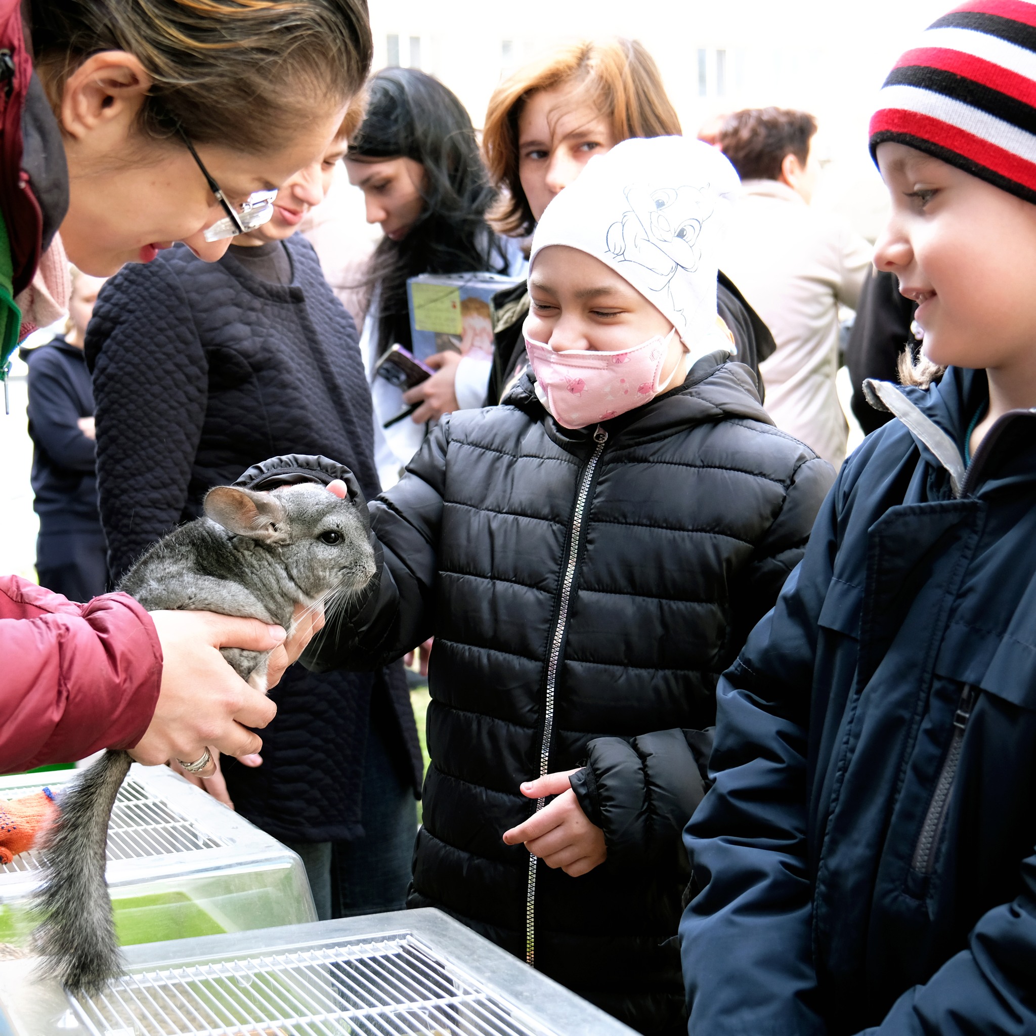 В Національній дитячій спеціалізованій лікарні “Охматдит” відновлюють сеанси зоо-терапії з тваринами з Київського зоопарку