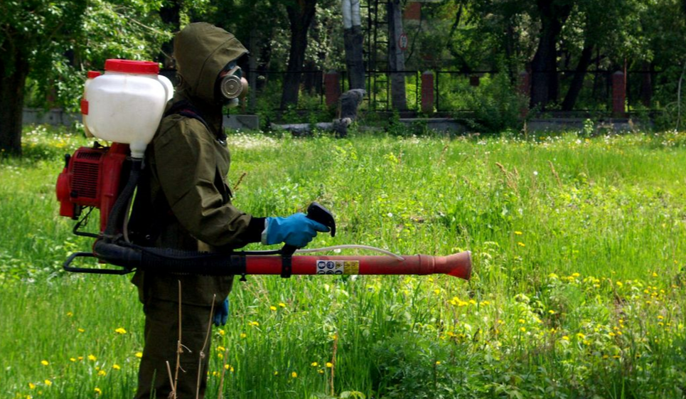У Києві в парку Перемога 10 квітня проведуть акарицидну обробку проти кліщів