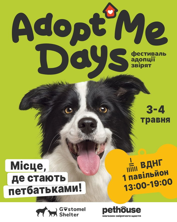 Куди піти на вихідних у Києві: AdoptMe Days на ВДНГ 3-4 травня