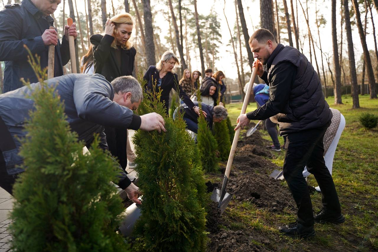 В Ірпені на Київщині висадили алею туй у пам’ять про загиблих українських воїнів: фото