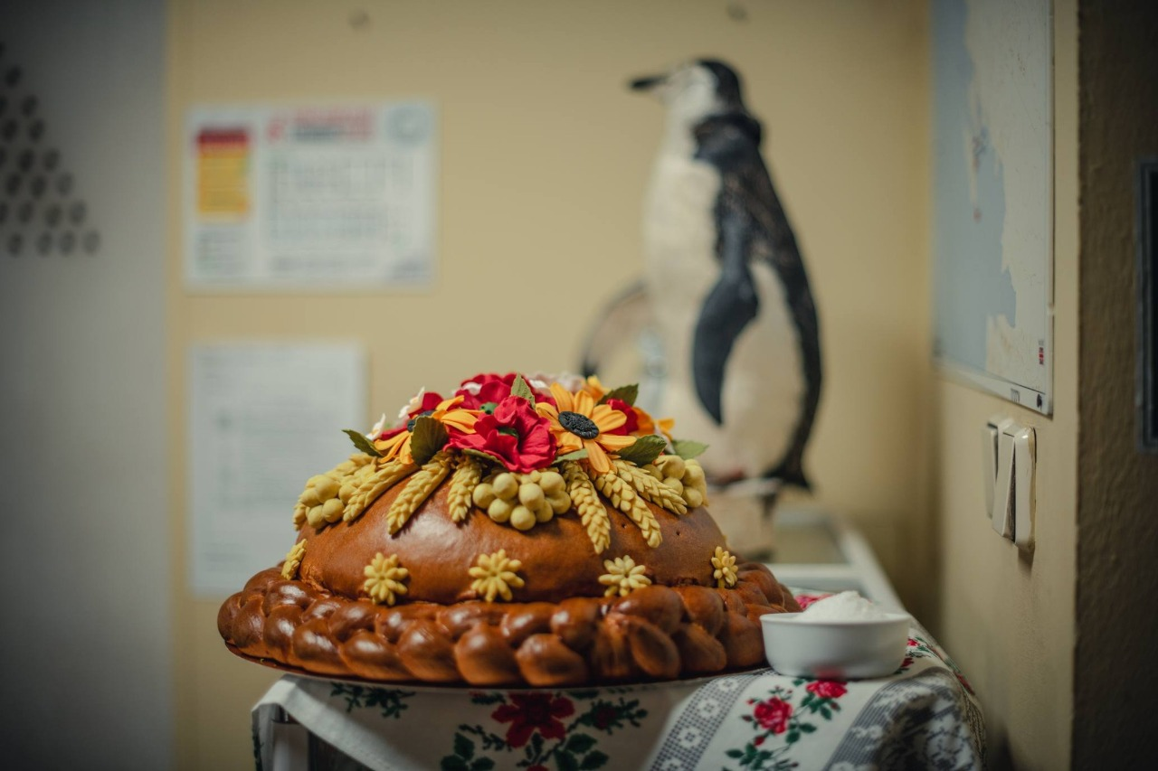 30-та Українська антарктична експедиція повернулася до Києва: фото