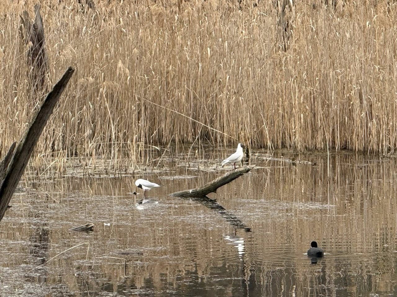Фото: Дмитро Перов Фото: Дмитро Перов