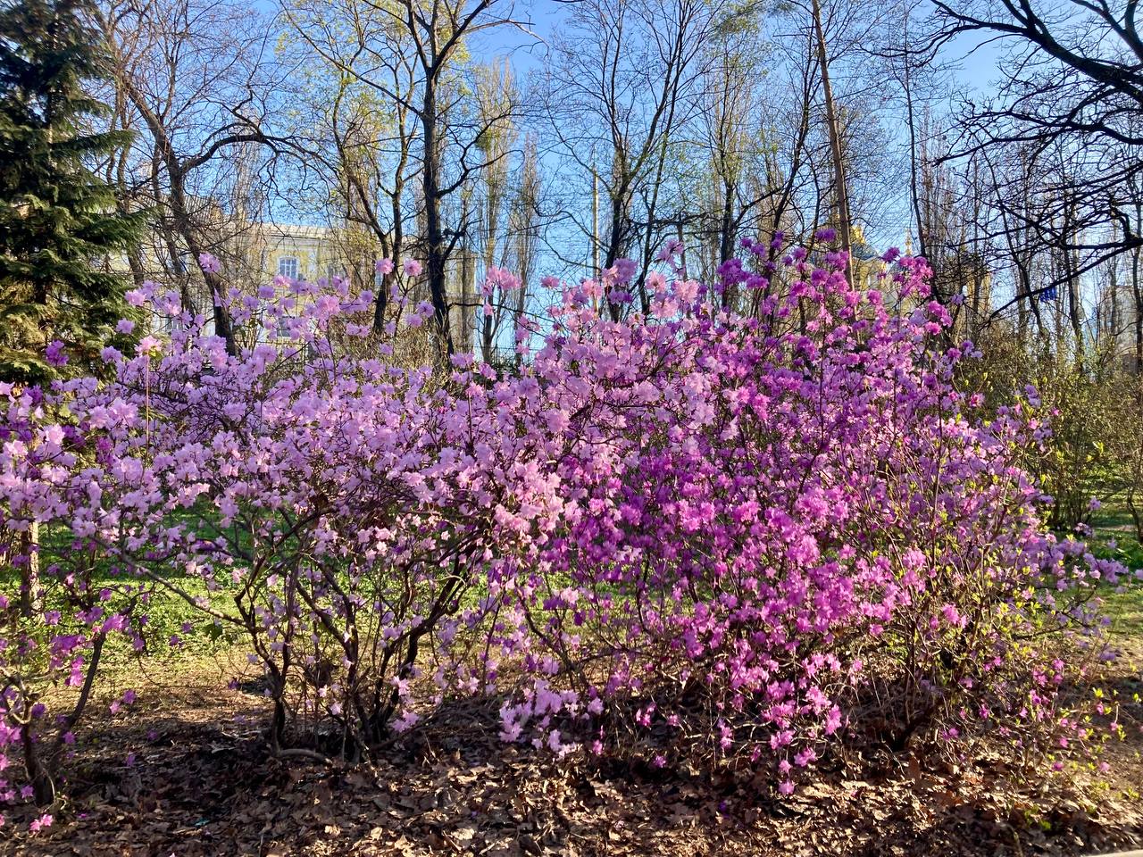 Фото: Наш Київ