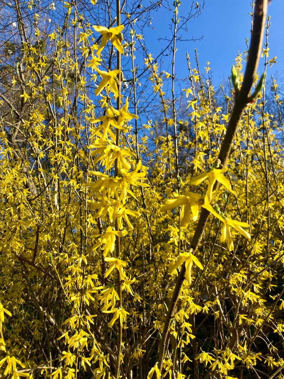 Фото: Наш Київ Фото: Наш Київ