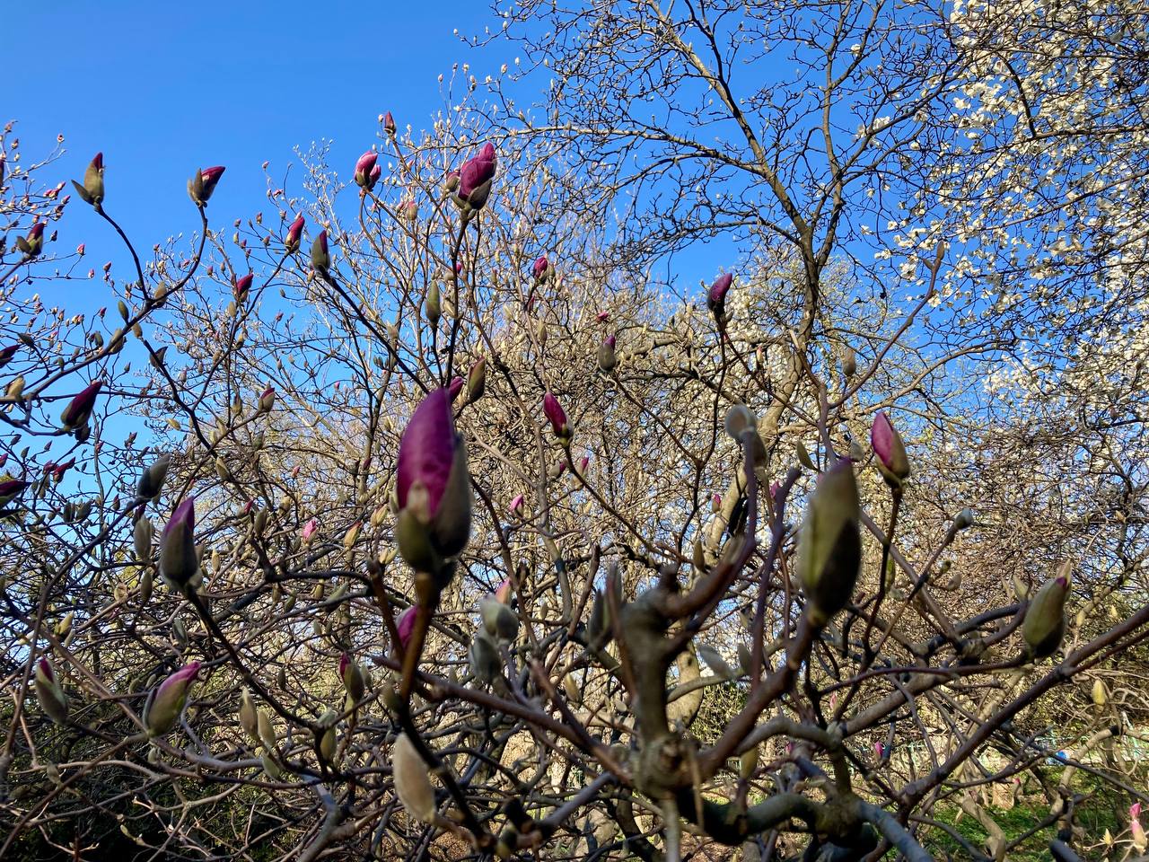 Фото: Наш Київ Фото: Наш Київ