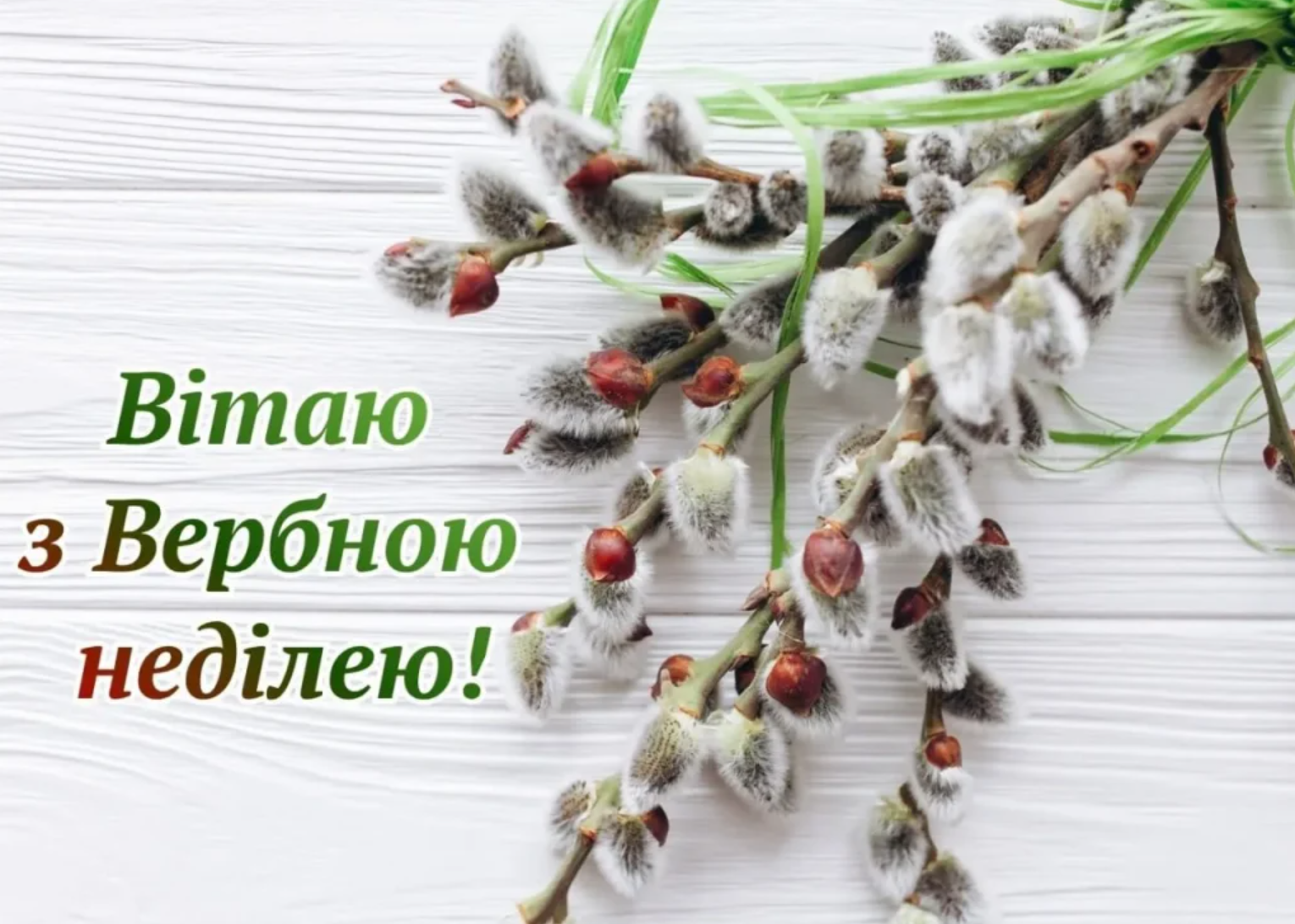Привітання з Вербною неділею 2026 у святкових листівках