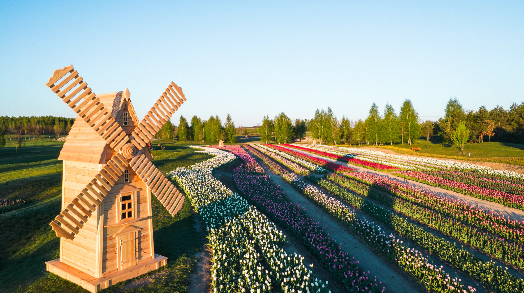 Сезон тюльпанів у Добропарку