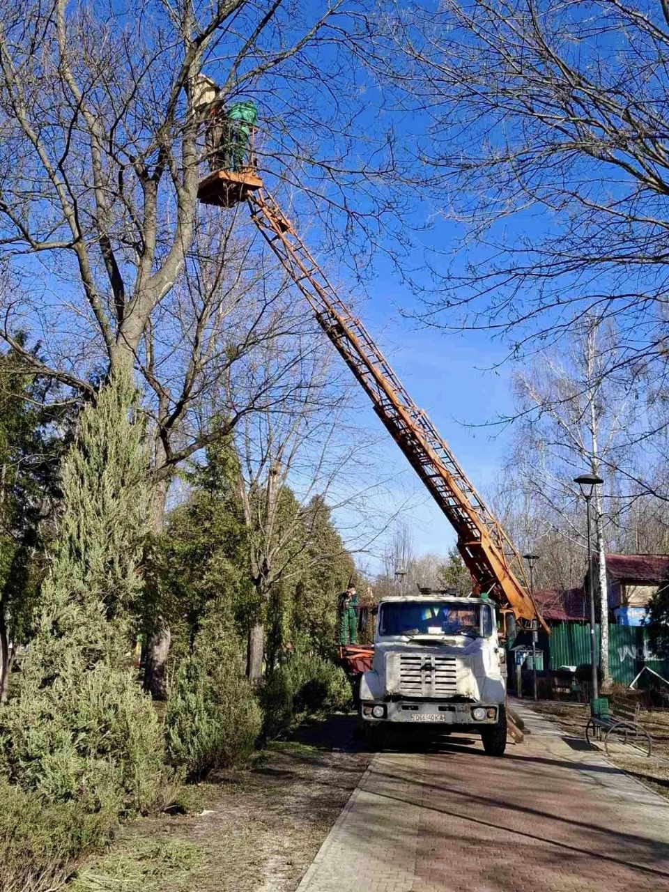 Понад пів сотні нових шпаківень облаштували в парках і скверах Києва: фото