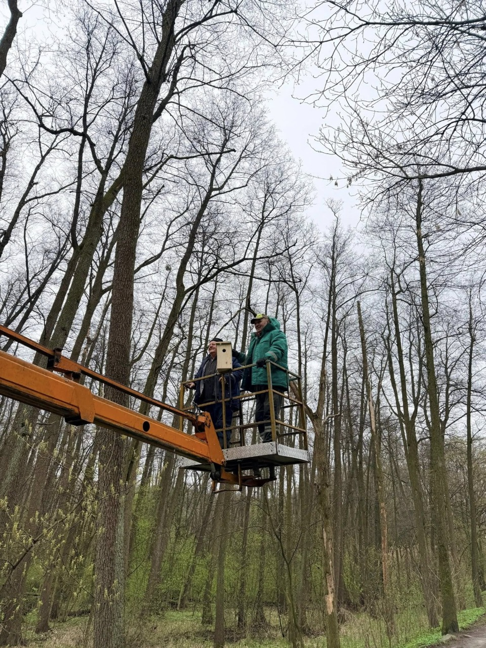 Понад пів сотні нових шпаківень облаштували в парках і скверах Києва: фото