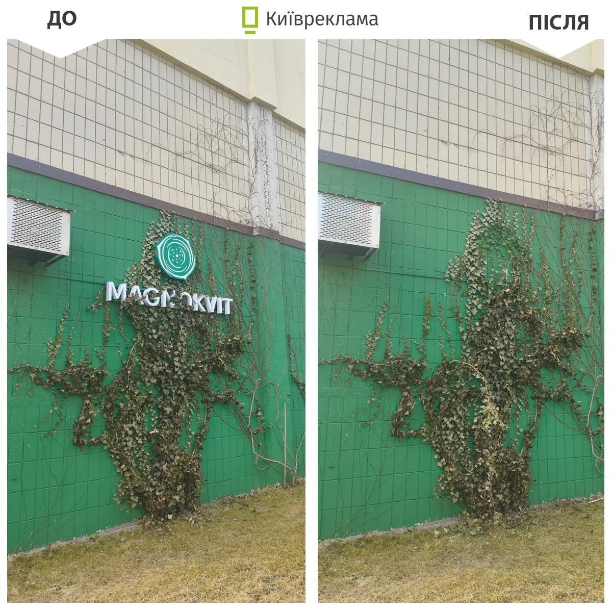 Скільки незаконної реклами демонтували у Києві в березні 2026 року: деталі