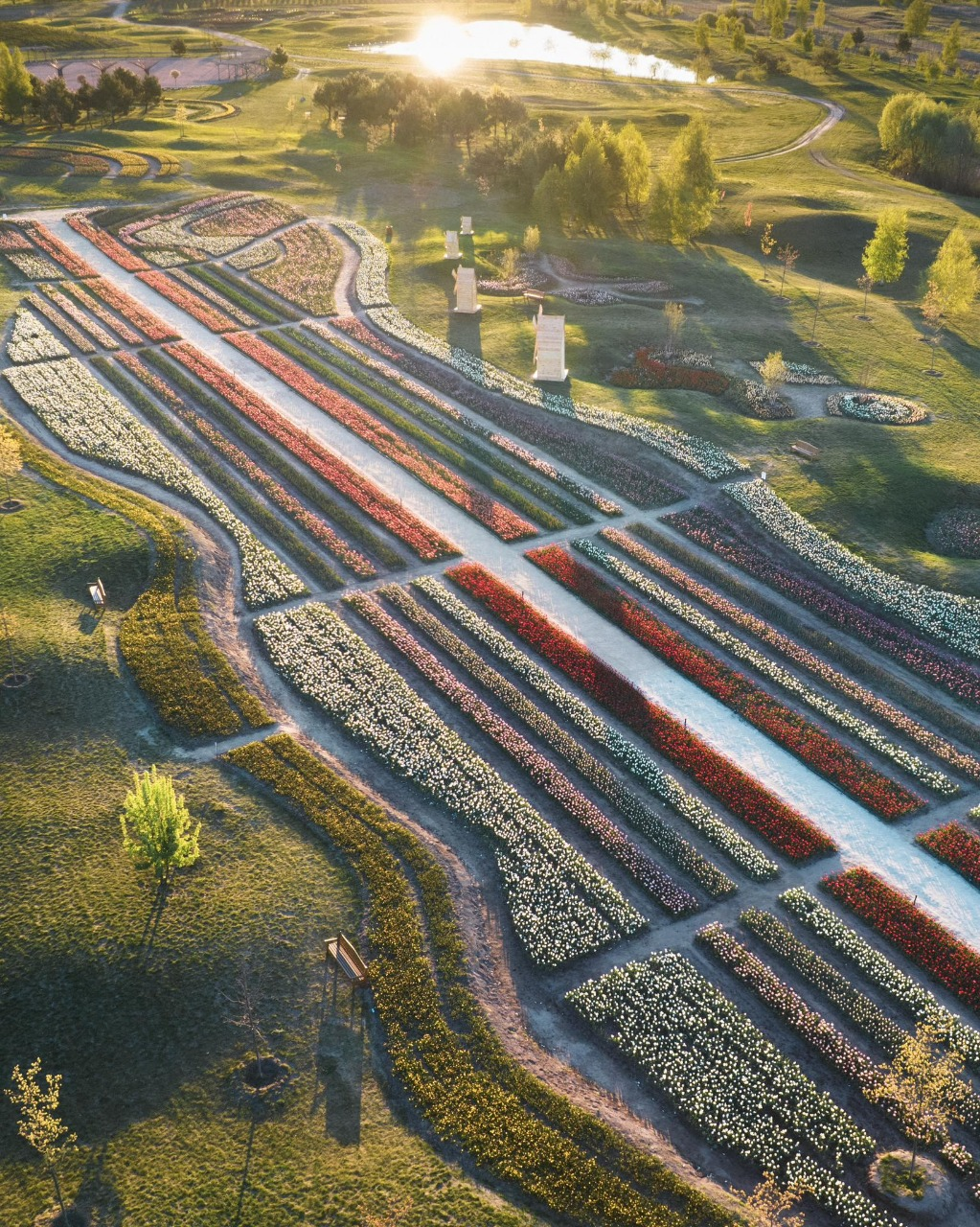 У Добропарку на Київщині готуються до відкриття сезону тюльпанів: що чекає на відвідувачів