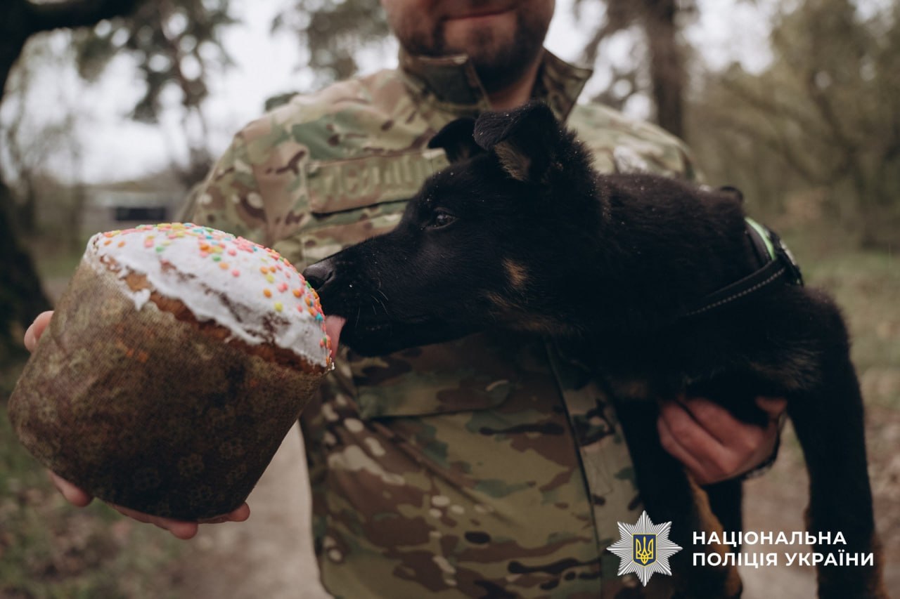 Як захисники зустрічають Великдень на передовій Як захисники зустрічають Великдень на передовій
