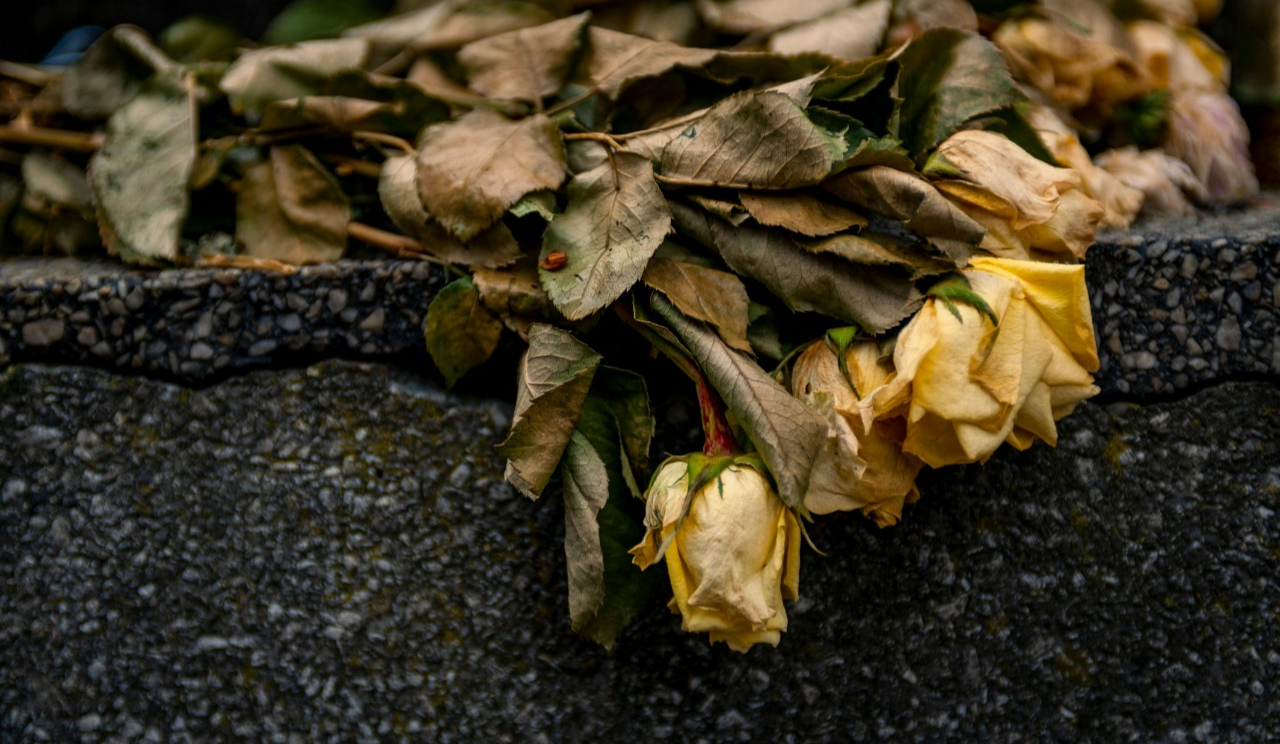 Поминальні дні: киян закликають замінити штучні квіти на живі рослини