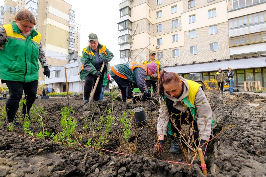 На місці демонтованих МАФів у Солом’янському районі Києва облаштовують зелену зону