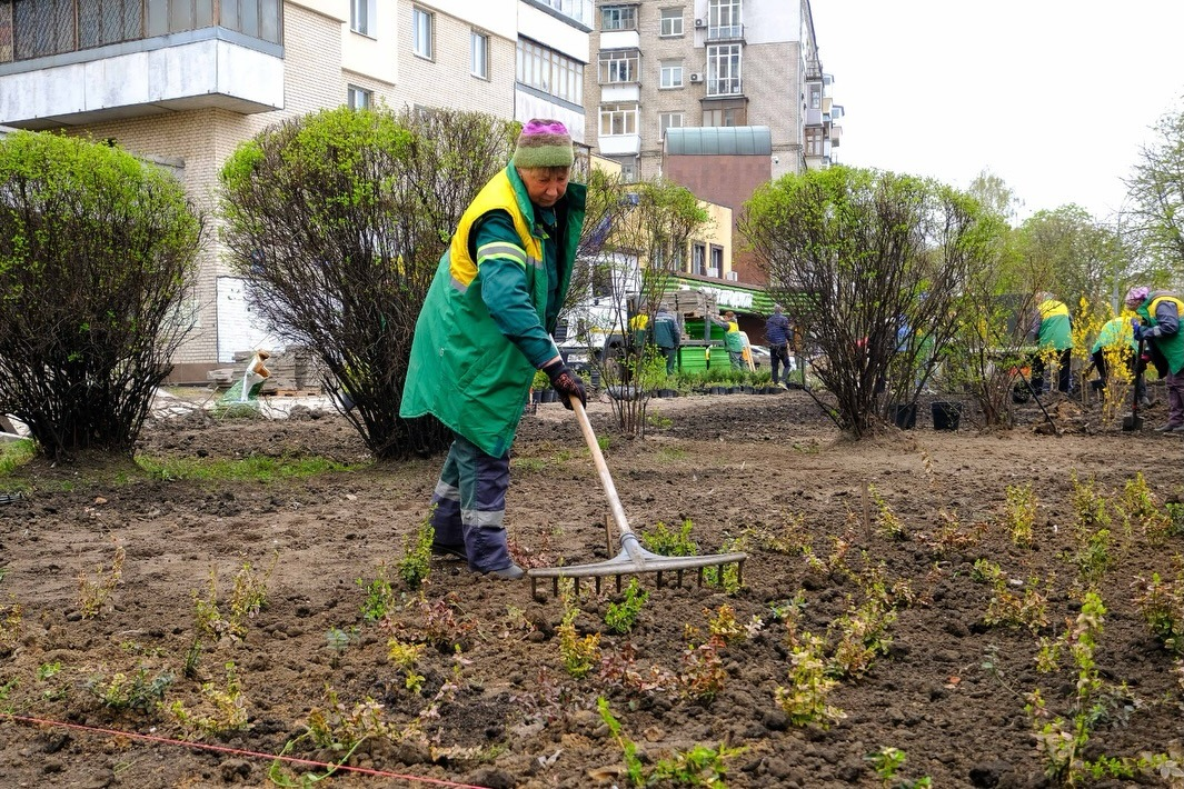 На місці демонтованих МАФів у Солом’янському районі Києва облаштовують зелену зону