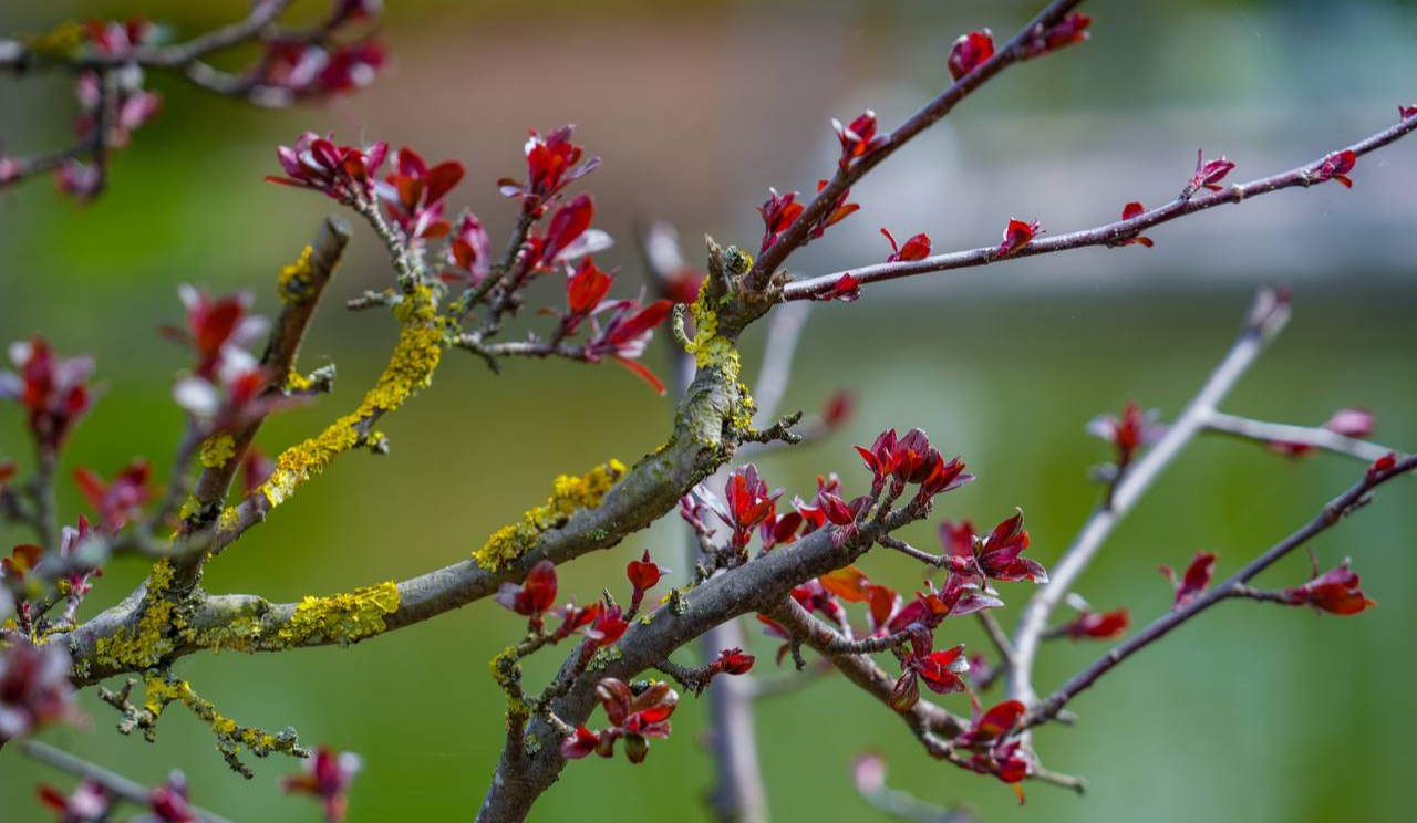 Хмарно, з дрібним дощем і до +14: якою буде погода у Києві на вихідних