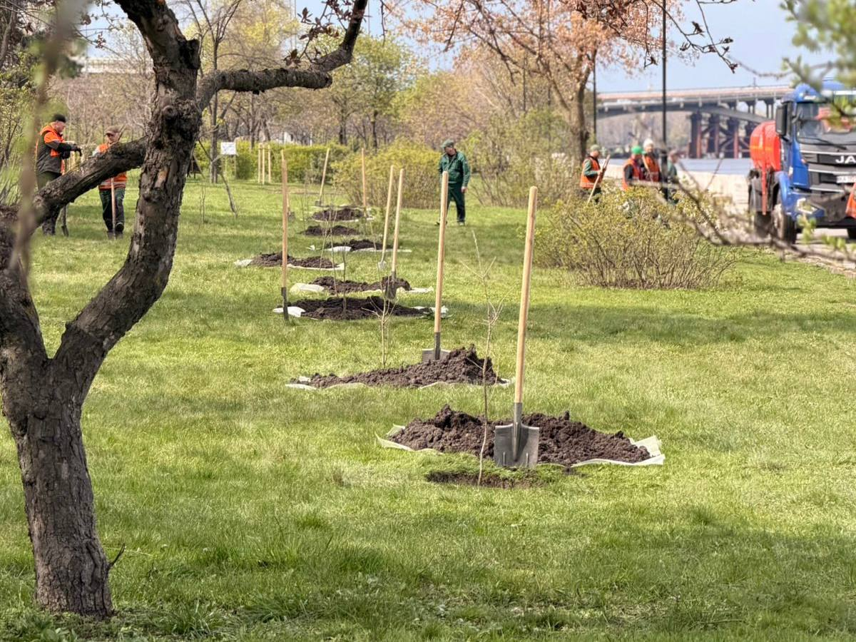 В Наводницькому парку у Києві висадили дуби Шевченка: фото