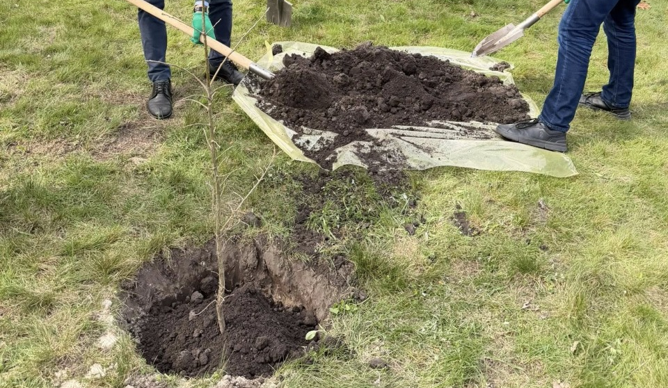 В Наводницькому парку у Києві висадили дуби Шевченка: фото