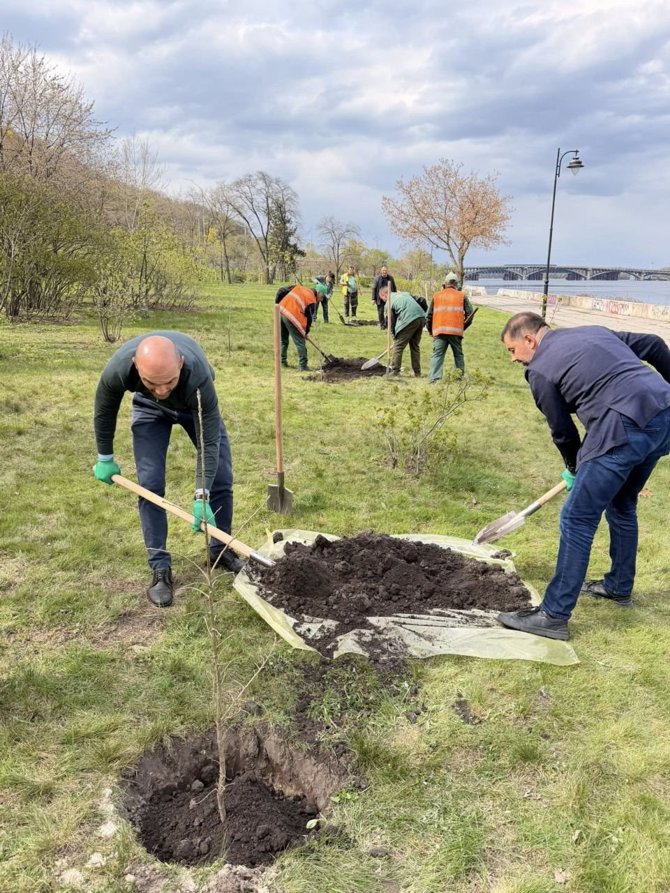 В Наводницькому парку у Києві висадили дуби Шевченка: фото