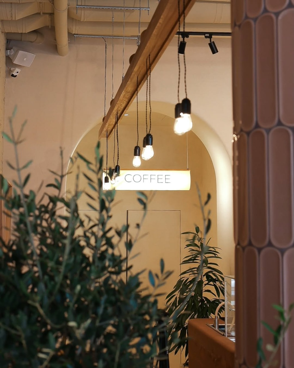 На Подолі у Києві запрацював новий заклад — сучасна пекарня-кухня ALTO: адреса, меню та ціни