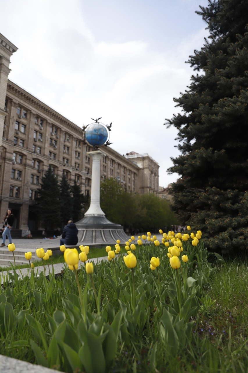 У Києві вже розквітають перші тюльпани: де їх шукати