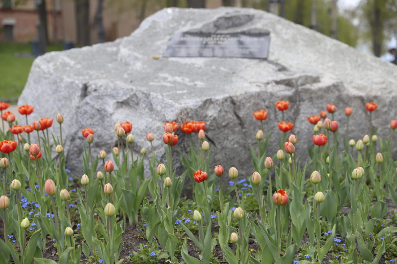 У Києві вже розквітають перші тюльпани: де їх шукати
