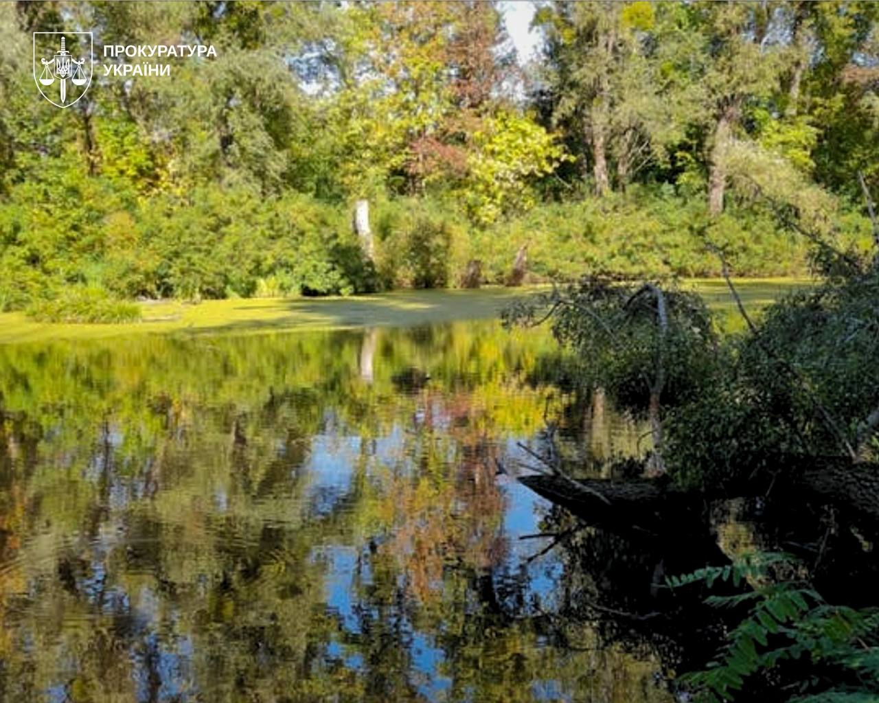 Урочище "Горбачиха" у Києві понад 30 років без заповідного статусу: прокуратура звернулася до суду